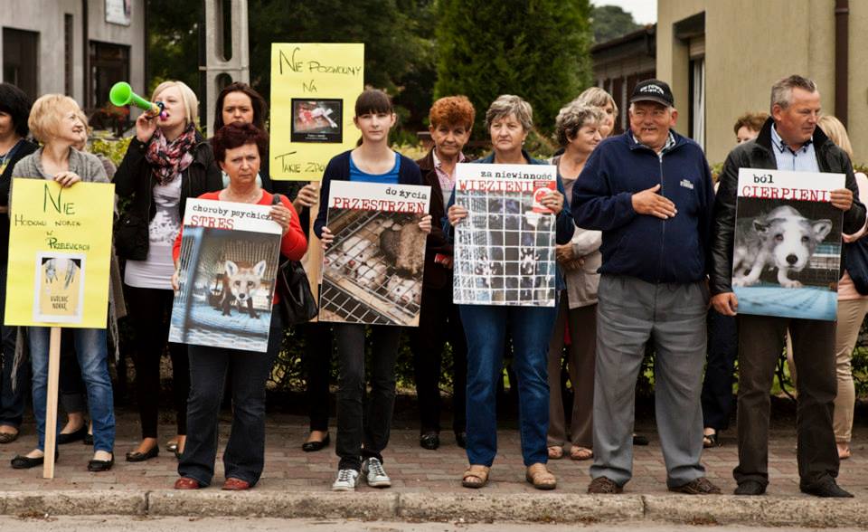 Polen: Dorf blockiert seit 10. Juli 2013 Lieferung von Nerzen zu Pelzfarm – Nötigung?
