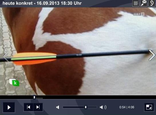 In der ORF-Sendung "heute konkret" vom 16. 9. 2013 wurde u.a. ein Pferd gezeigt, das mit einem Pfeil abgeschossen worden war.