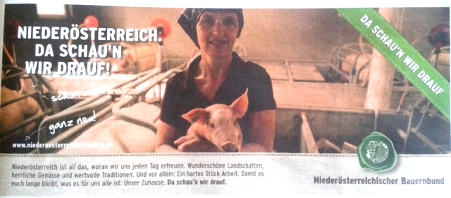 „Da läuft einiges schief!“ – wie der ÖVP-Bauernbund das Mensch-Tier Verhältnis sieht