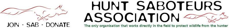 Hunt Saboteurs Association: Sabotage von Fuchsjagden