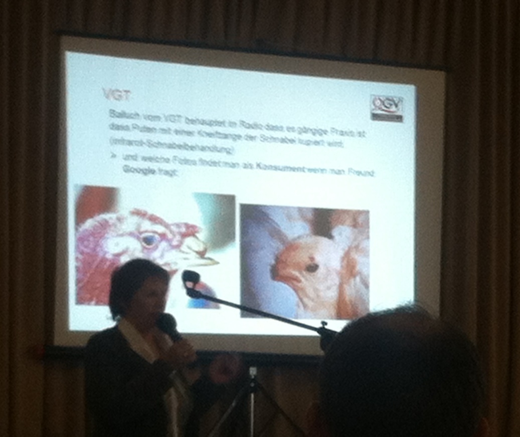 Vortrag von Martina Glatzl auf Putenmasttagung: „Tierschutz versus Politik“