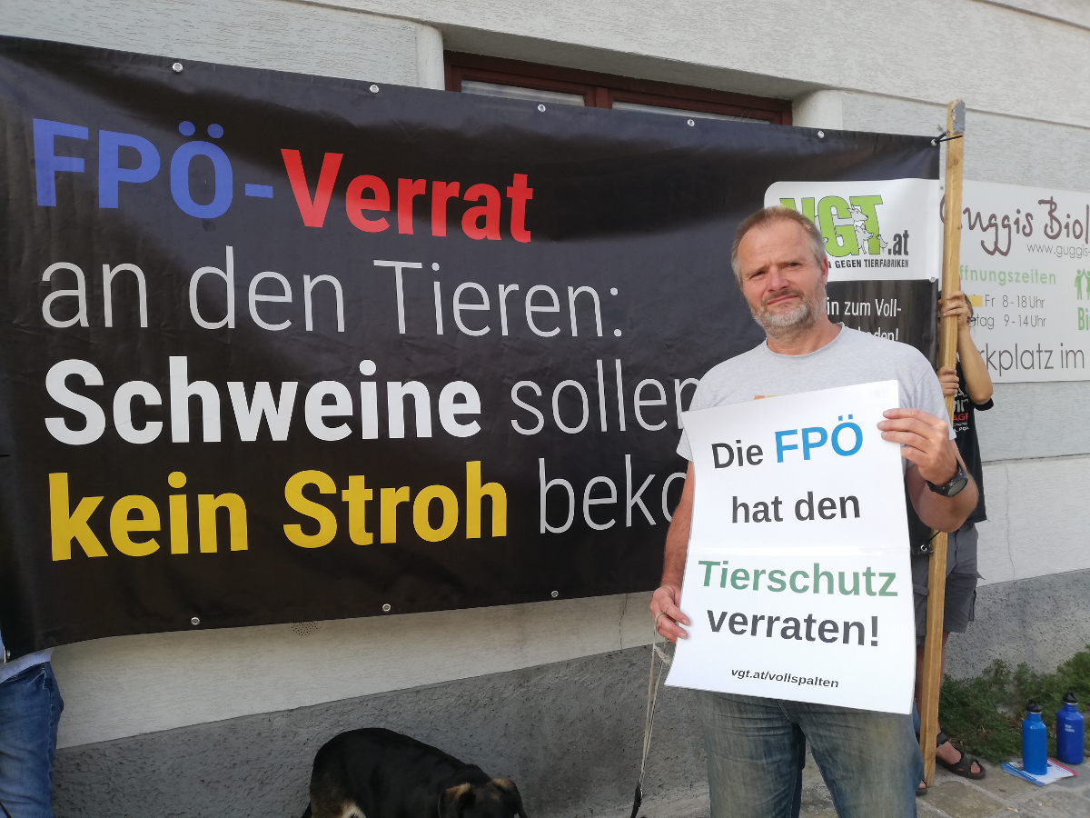 Demo für Schweine: FPÖ hat die Tiere verraten