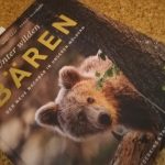 "Unter wilden Bären" - ein Buch über die Bären Sloweniens