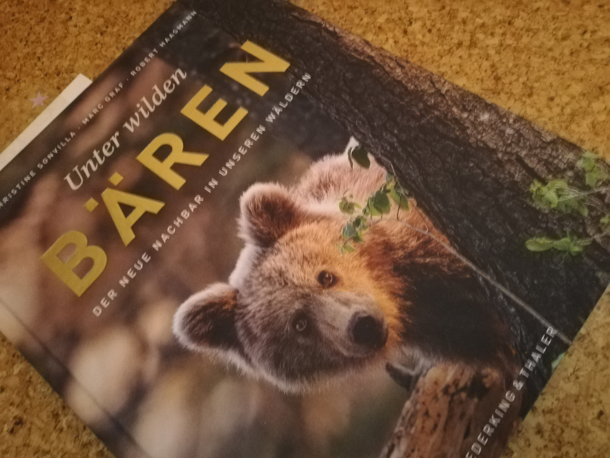 “Unter wilden Bären” – ein Buch über die Bären Sloweniens